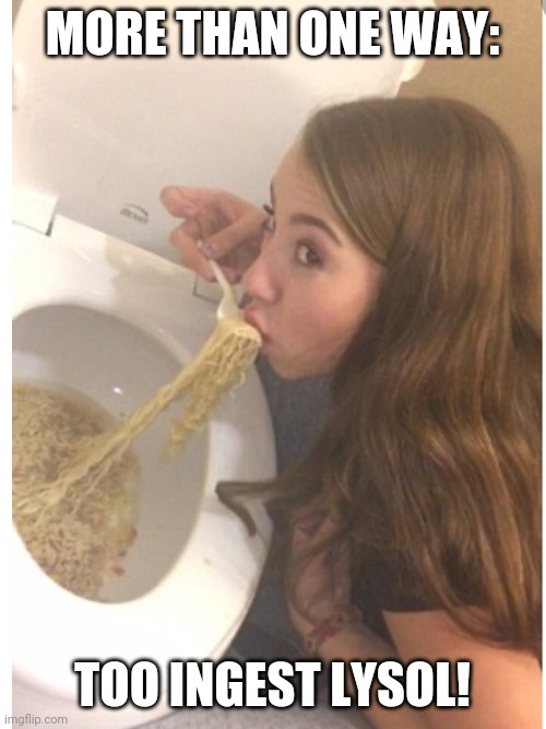 "I'm a trained professional!  Kids under no circumstances ever should you do this at home!" | MORE THAN ONE WAY:; TOO INGEST LYSOL! | image tagged in toilet bowl ramen | made w/ Imgflip meme maker