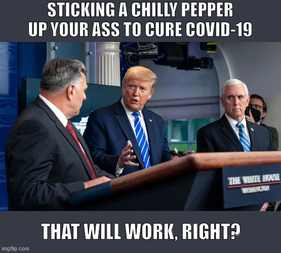 Chilly pepper covid-19 cure | STICKING A CHILLY PEPPER UP YOUR ASS TO CURE COVID-19; THAT WILL WORK, RIGHT? | image tagged in donald trump,covid-19,chilly pepper | made w/ Imgflip meme maker
