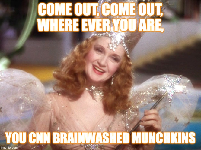 Come out, Come out | COME OUT, COME OUT,
WHERE EVER YOU ARE, YOU CNN BRAINWASHED MUNCHKINS | image tagged in glinda good witch wizard of oz | made w/ Imgflip meme maker