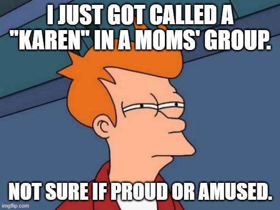 Facebook Moms' Groups, yeah. | I JUST GOT CALLED A "KAREN" IN A MOMS' GROUP. NOT SURE IF PROUD OR AMUSED. | image tagged in futurama fry,facebook,moms groups,karen | made w/ Imgflip meme maker