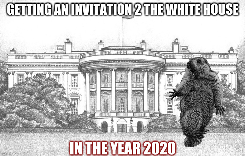 invitation white house | GETTING AN INVITATION 2 THE WHITE HOUSE; IN THE YEAR 2020 | image tagged in funny,lol so funny,2020,white house,screaming | made w/ Imgflip meme maker