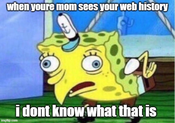web history | when youre mom sees your web history; i dont know what that is | image tagged in memes,mocking spongebob | made w/ Imgflip meme maker