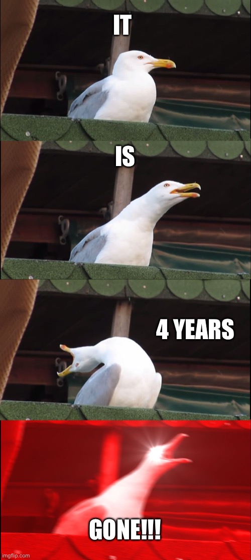 Inhaling Seagull Meme | IT IS 4 YEARS GONE!!! | image tagged in memes,inhaling seagull | made w/ Imgflip meme maker