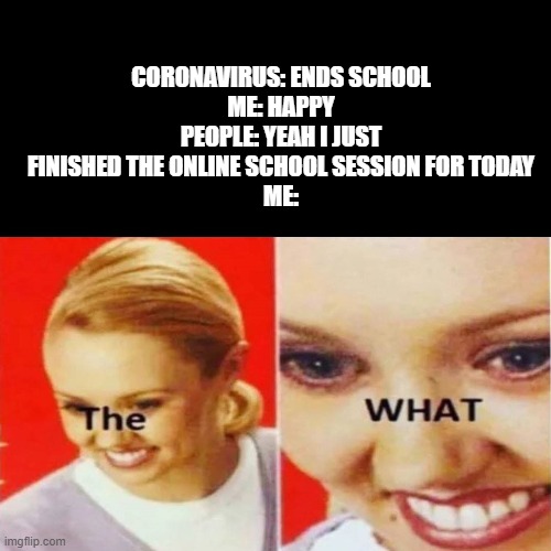 idk | CORONAVIRUS: ENDS SCHOOL
ME: HAPPY
PEOPLE: YEAH I JUST FINISHED THE ONLINE SCHOOL SESSION FOR TODAY
ME: | image tagged in the what | made w/ Imgflip meme maker