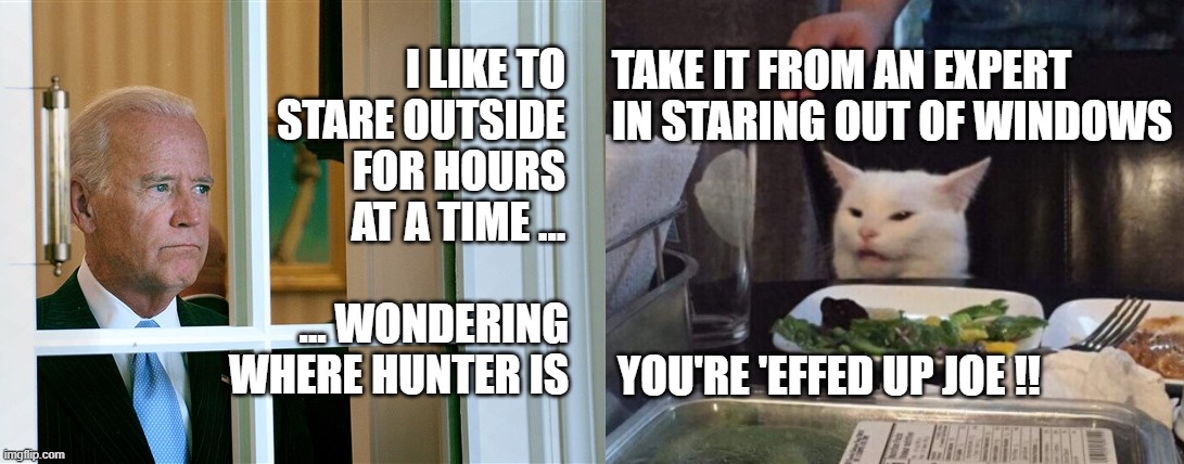 Joe and Smudge stare out of windows | I LIKE TO STARE OUTSIDE FOR HOURS AT A TIME ... TAKE IT FROM AN EXPERT IN STARING OUT OF WINDOWS; ... WONDERING WHERE HUNTER IS; YOU'RE 'EFFED UP JOE !! | image tagged in smudge the cat,joe biden,political meme,memes,donald trump | made w/ Imgflip meme maker