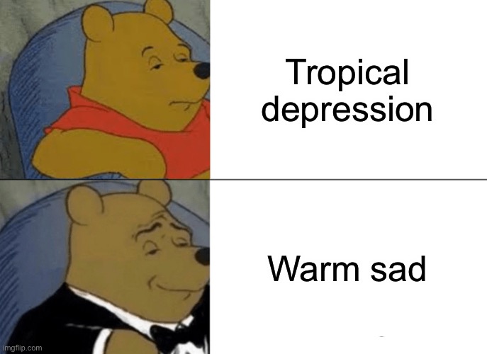 Insert name here | Tropical depression; Warm sad | image tagged in memes,tuxedo winnie the pooh | made w/ Imgflip meme maker