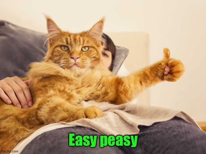 Cat thumbs up 3 | Easy peasy | image tagged in cat thumbs up 3 | made w/ Imgflip meme maker