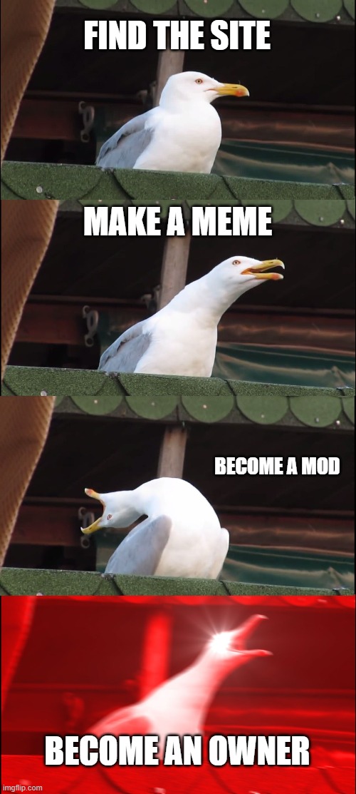 Inhaling Seagull | FIND THE SITE; MAKE A MEME; BECOME A MOD; BECOME AN OWNER | image tagged in memes,inhaling seagull | made w/ Imgflip meme maker