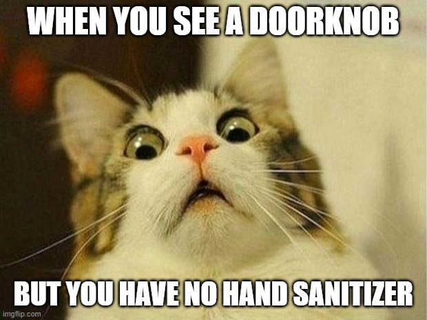 Can't wipe it down | WHEN YOU SEE A DOORKNOB; BUT YOU HAVE NO HAND SANITIZER | image tagged in memes,scared cat,sanitizer,doorknob | made w/ Imgflip meme maker