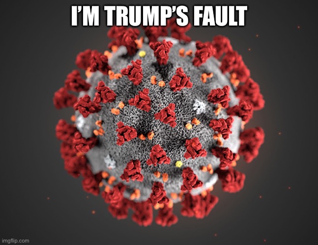 Coronavirus | I’M TRUMP’S FAULT | image tagged in coronavirus | made w/ Imgflip meme maker