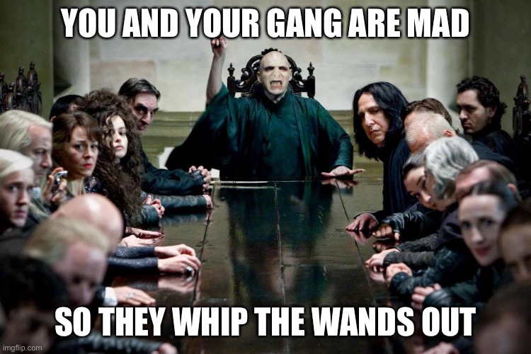 Wand time | YOU AND YOUR GANG ARE MAD; SO THEY WHIP THE WANDS OUT | image tagged in harry potter death eaters ministry of magic | made w/ Imgflip meme maker
