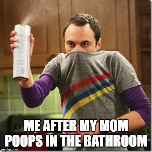 air freshener sheldon cooper | ME AFTER MY MOM POOPS IN THE BATHROOM | image tagged in air freshener sheldon cooper | made w/ Imgflip meme maker