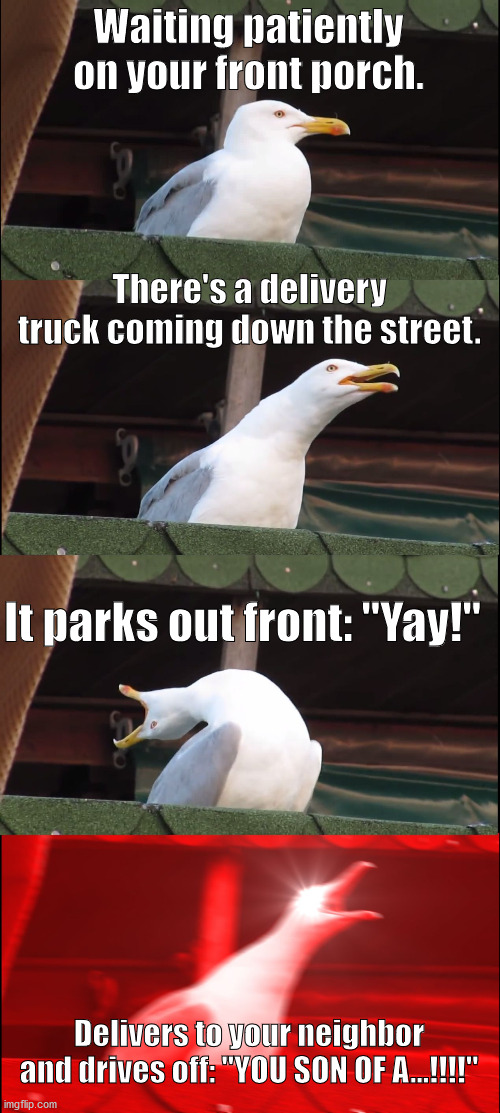 Inhaling Seagull | Waiting patiently on your front porch. There's a delivery truck coming down the street. It parks out front: "Yay!"; Delivers to your neighbor and drives off: "YOU SON OF A...!!!!" | image tagged in memes,inhaling seagull | made w/ Imgflip meme maker