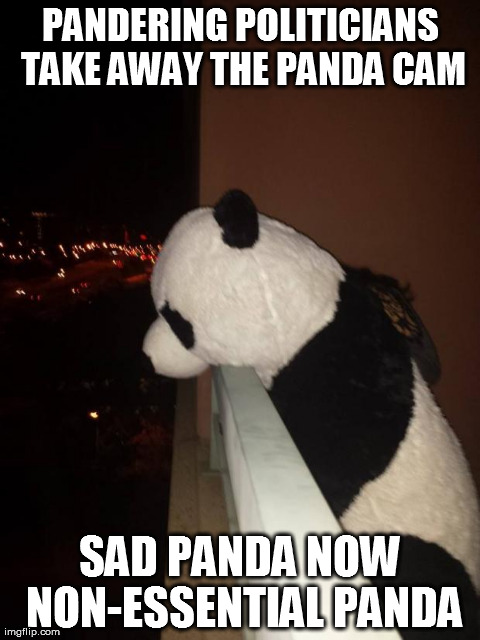 PANDERING POLITICIANS TAKE AWAY THE PANDA CAM SAD PANDA NOW NON-ESSENTIAL PANDA | made w/ Imgflip meme maker
