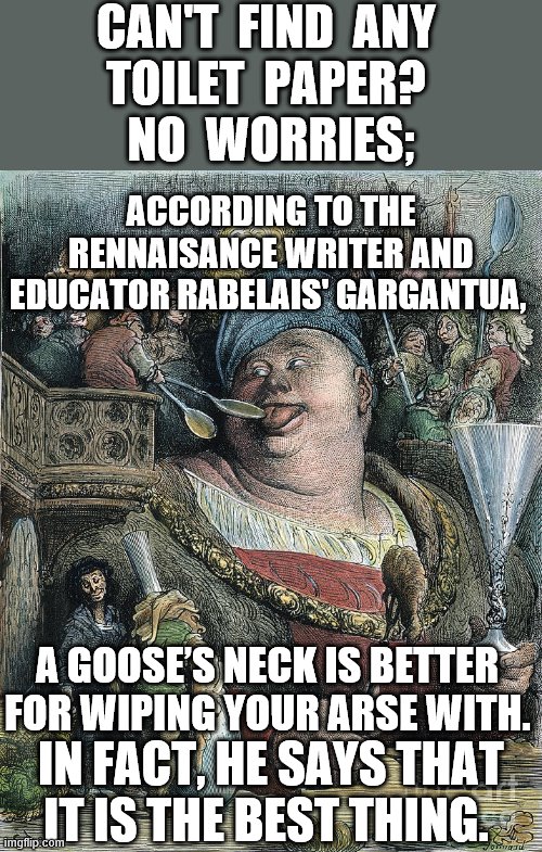 Goose Neck Toilet Paper | CAN'T  FIND  ANY 
TOILET  PAPER? 
NO  WORRIES;; ACCORDING TO THE RENNAISANCE WRITER AND EDUCATOR RABELAIS' GARGANTUA, A GOOSE’S NECK IS BETTER 
FOR WIPING YOUR ARSE WITH. IN FACT, HE SAYS THAT IT IS THE BEST THING. | image tagged in toilet paper,goose,rabelais gargantua,memes,coronavirus,quarantine | made w/ Imgflip meme maker