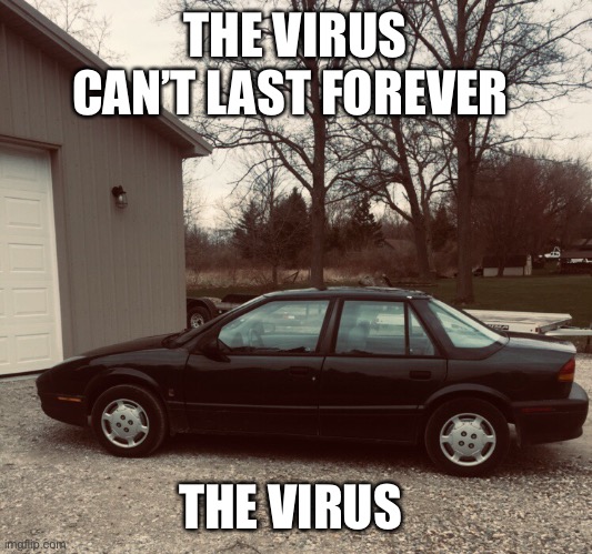 Coronavirus meme | THE VIRUS CAN’T LAST FOREVER; THE VIRUS | image tagged in corona virus | made w/ Imgflip meme maker