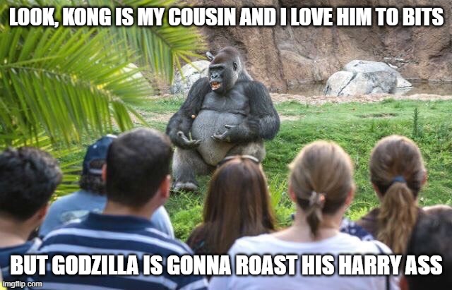 Lecturing Gorilla  | LOOK, KONG IS MY COUSIN AND I LOVE HIM TO BITS; BUT GODZILLA IS GONNA ROAST HIS HARRY ASS | image tagged in lecturing gorilla | made w/ Imgflip meme maker