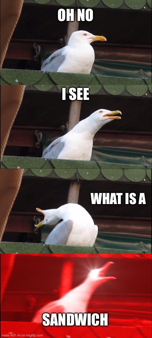 Inhaling Seagull | OH NO; I SEE; WHAT IS A; SANDWICH | image tagged in memes,inhaling seagull | made w/ Imgflip meme maker