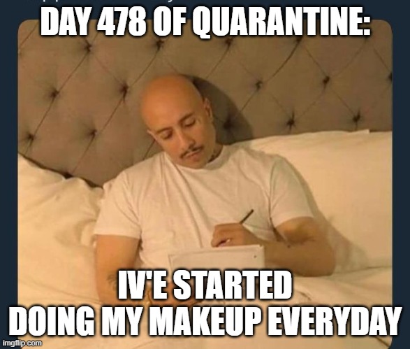 Anyone wanna help pick my makeup for today? | DAY 478 OF QUARANTINE:; IV'E STARTED DOING MY MAKEUP EVERYDAY | image tagged in dear diary | made w/ Imgflip meme maker