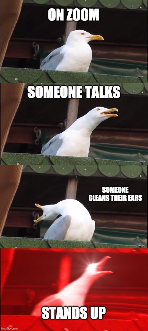 Zoom reactions | ON ZOOM; SOMEONE TALKS; SOMEONE CLEANS THEIR EARS; STANDS UP | image tagged in memes,inhaling seagull | made w/ Imgflip meme maker