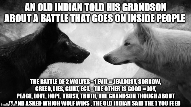 Two Wolves | AN OLD INDIAN TOLD HIS GRANDSON ABOUT A BATTLE THAT GOES ON INSIDE PEOPLE; THE BATTLE OF 2 WOLVES - 1 EVIL = JEALOUSY, SORROW, GREED, LIES, GUILT, ECT. - THE OTHER IS GOOD = JOY, PEACE, LOVE, HOPE, TRUST, TRUTH, THE GRANDSON THOUGH ABOUT IT AND ASKED WHICH WOLF WINS . THE OLD INDIAN SAID THE 1 YOU FEED | image tagged in wolves,memes,good advice | made w/ Imgflip meme maker