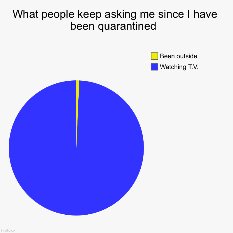 What people keep asking me since I have been quarantined  | Watching T.V., Been outside | image tagged in charts,pie charts | made w/ Imgflip chart maker