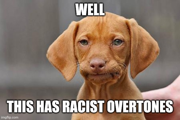 Dissapointed puppy | WELL THIS HAS RACIST OVERTONES | image tagged in dissapointed puppy | made w/ Imgflip meme maker