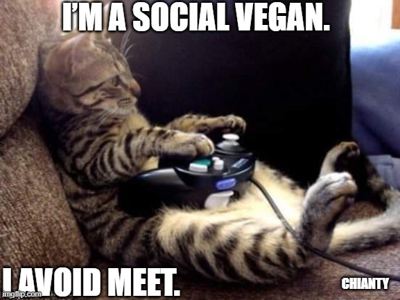 Social | image tagged in vegan | made w/ Imgflip meme maker