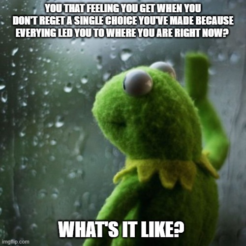 sometimes I wonder  | YOU THAT FEELING YOU GET WHEN YOU DON'T REGET A SINGLE CHOICE YOU'VE MADE BECAUSE EVERYING LED YOU TO WHERE YOU ARE RIGHT NOW? WHAT'S IT LIKE? | image tagged in sometimes i wonder | made w/ Imgflip meme maker