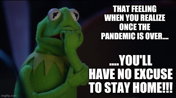 The terrible truth | THAT FEELING WHEN YOU REALIZE ONCE THE PANDEMIC IS OVER.... ....YOU'LL HAVE NO EXCUSE TO STAY HOME!!! | image tagged in kermit worried face,pandemic,covid19,meme | made w/ Imgflip meme maker