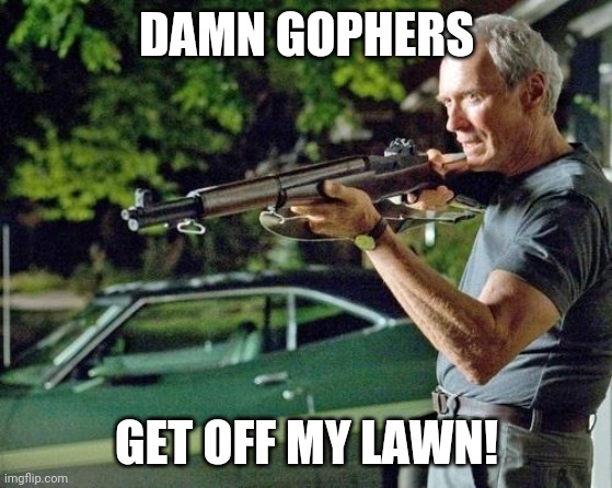 Clint Eastwood Lawn | DAMN GOPHERS; GET OFF MY LAWN! | image tagged in clint eastwood lawn | made w/ Imgflip meme maker