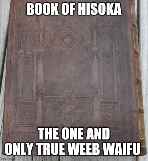 BOOK OF HISOKA; THE ONE AND ONLY TRUE WEEB WAIFU | image tagged in memes | made w/ Imgflip meme maker