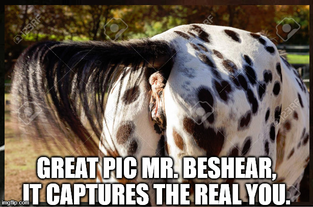 Mr. Beshear | GREAT PIC MR. BESHEAR, IT CAPTURES THE REAL YOU. | image tagged in memes | made w/ Imgflip meme maker