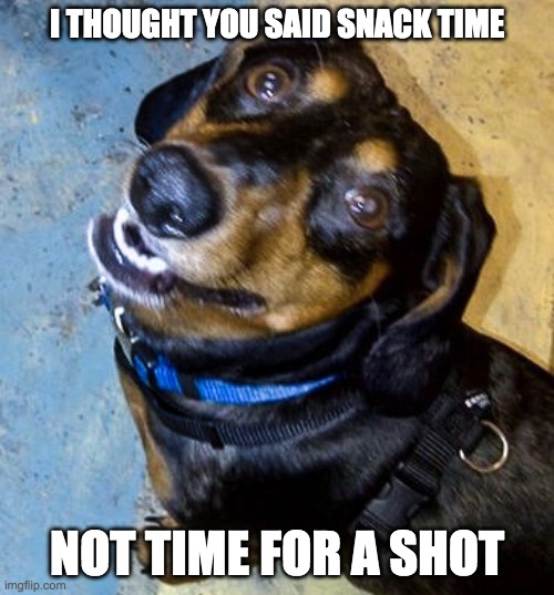 I THOUGHT YOU SAID SNACK TIME; NOT TIME FOR A SHOT | made w/ Imgflip meme maker