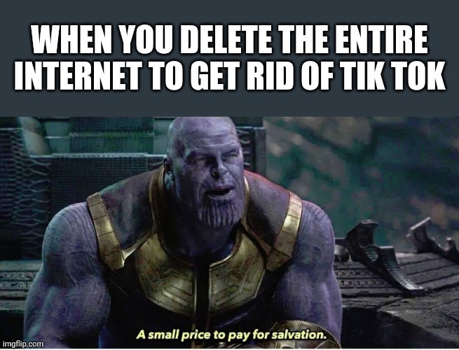 Destroy it | WHEN YOU DELETE THE ENTIRE INTERNET TO GET RID OF TIK TOK | image tagged in a small price to pay for salvation,tik tok,internet,memes | made w/ Imgflip meme maker