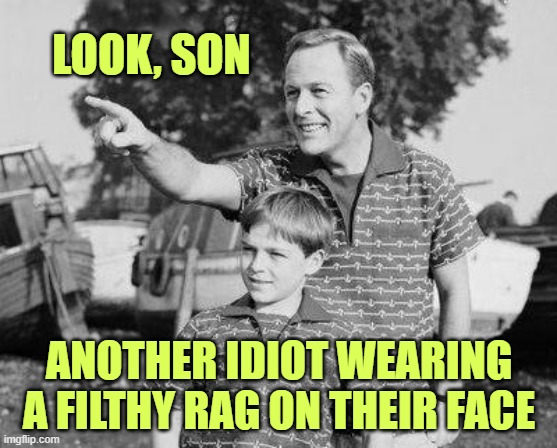 Snotbox covers breed bacteria | LOOK, SON; ANOTHER IDIOT WEARING A FILTHY RAG ON THEIR FACE | image tagged in memes,look son | made w/ Imgflip meme maker