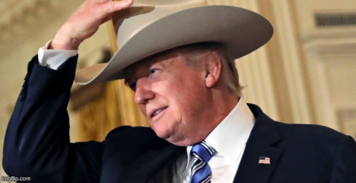 donald-trump-cowboy-hat | image tagged in donald-trump-cowboy-hat | made w/ Imgflip meme maker
