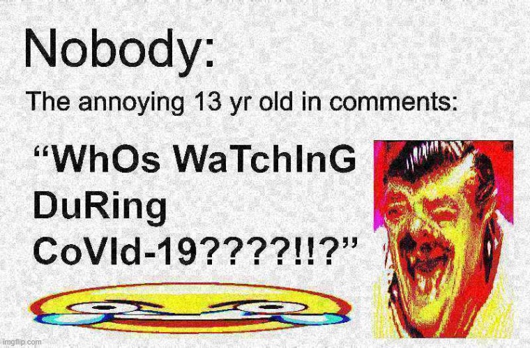 The Annoying 13 year olds. | image tagged in kids these days,deep fried,annoying people,nobody meme | made w/ Imgflip meme maker