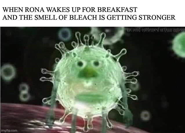 Feed that Rona | WHEN RONA WAKES UP FOR BREAKFAST AND THE SMELL OF BLEACH IS GETTING STRONGER | image tagged in coronavirus,corona virus,bleach,drink bleach,breakfast | made w/ Imgflip meme maker