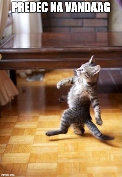 Cool Cat Stroll Meme | PREDEC NA VANDAAG | image tagged in memes,cool cat stroll | made w/ Imgflip meme maker