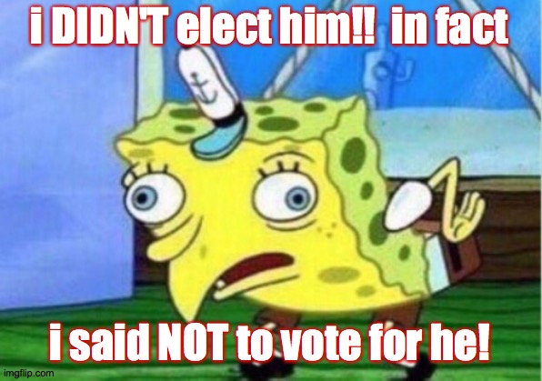 Mocking Spongebob Meme | i DIDN'T elect him!!  in fact i said NOT to vote for he! | image tagged in memes,mocking spongebob | made w/ Imgflip meme maker