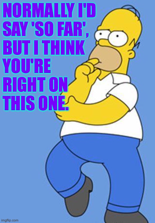 Homer Simpson Thinking | NORMALLY I'D
SAY 'SO FAR',
BUT I THINK
YOU'RE
RIGHT ON
THIS ONE. | image tagged in homer simpson thinking | made w/ Imgflip meme maker