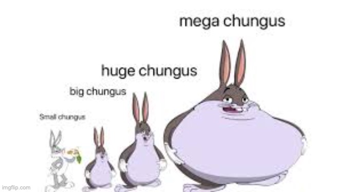 image tagged in big chungus | made w/ Imgflip meme maker