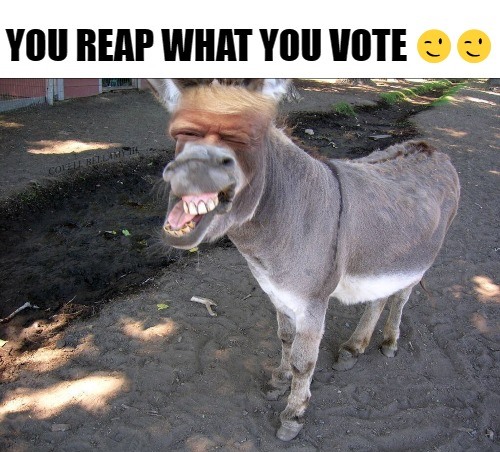 You Reap What You Vote Blank Meme Template