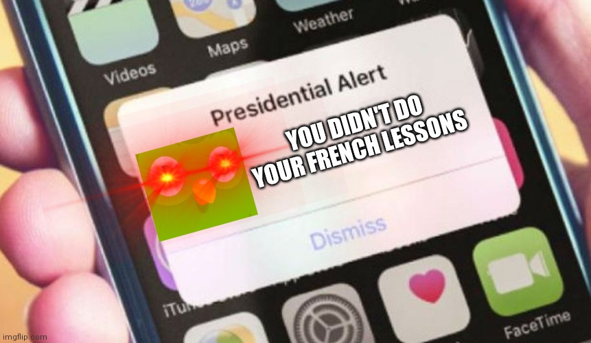 Presidential Alert Meme | YOU DIDN'T DO YOUR FRENCH LESSONS | image tagged in memes,presidential alert,duolingo bird,uh oh | made w/ Imgflip meme maker