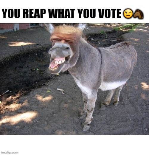 You Reap What You Vote | 😉🐴 | image tagged in you reap what you vote | made w/ Imgflip meme maker