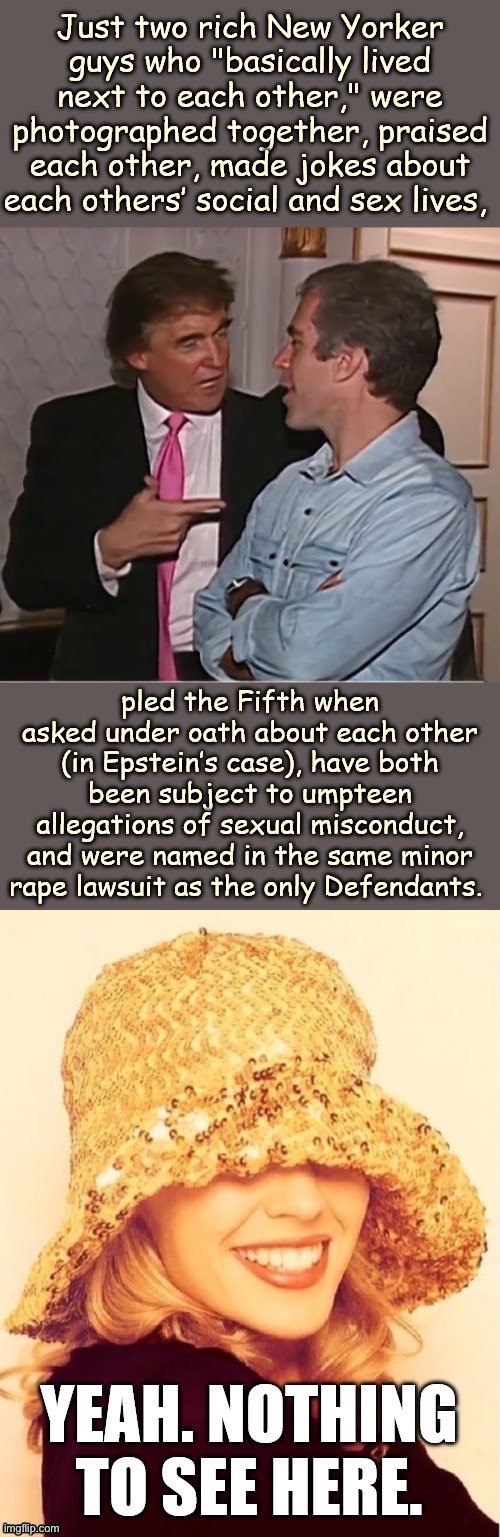 Trump & Epstein: Two peas in a pod. Allegedly, and admittedly. | image tagged in child abuse,rape,pedophiles,jeffrey epstein,epstein,donald trump | made w/ Imgflip meme maker