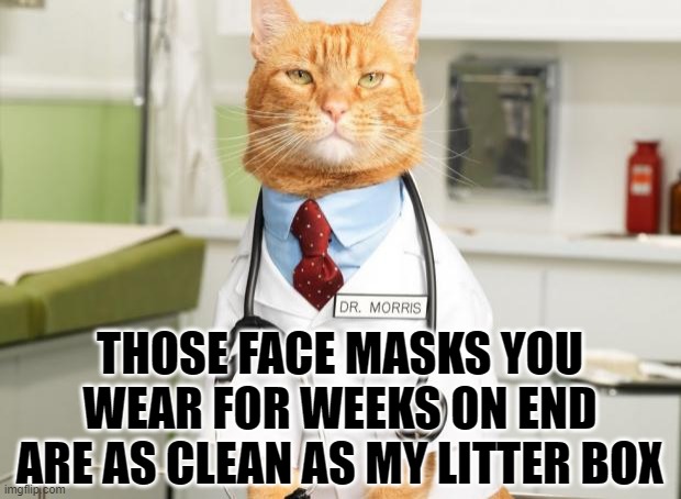 My cat is smarter than you. | THOSE FACE MASKS YOU WEAR FOR WEEKS ON END ARE AS CLEAN AS MY LITTER BOX | image tagged in cat doctor | made w/ Imgflip meme maker