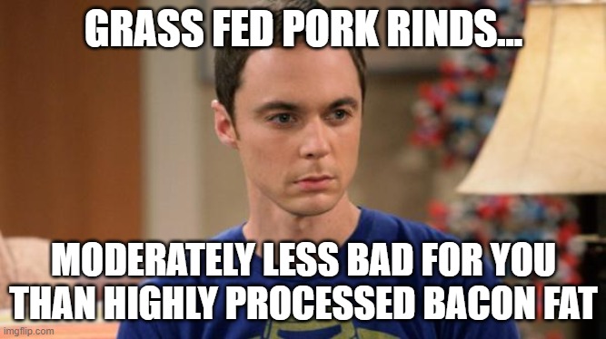 Organic pork rind | GRASS FED PORK RINDS... MODERATELY LESS BAD FOR YOU THAN HIGHLY PROCESSED BACON FAT | image tagged in sheldon logic | made w/ Imgflip meme maker