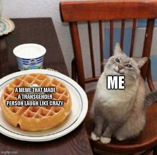 Cat likes their waffle | A MEME THAT MADE A TRANSGENDER PERSON LAUGH LIKE CRAZY; ME | image tagged in cat likes their waffle,discord | made w/ Imgflip meme maker